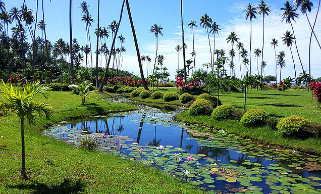 Holiday resort garden pond